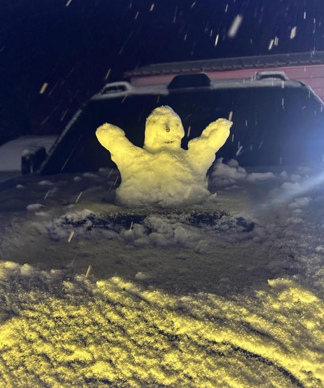 刚刚，浙江下大雪了！这里已经白茫茫，越下越大