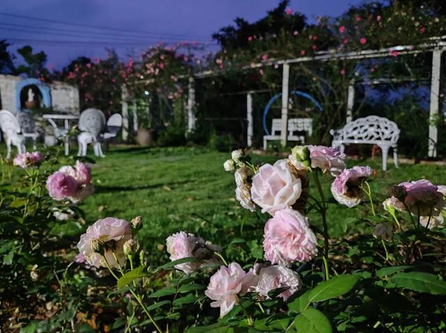 “两天一夜”出逃计划丨周末就到柳北放飞自我~