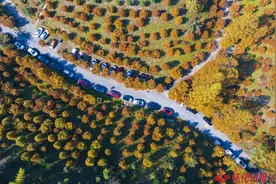 图说 | 五彩斑斓的帽子坡图片