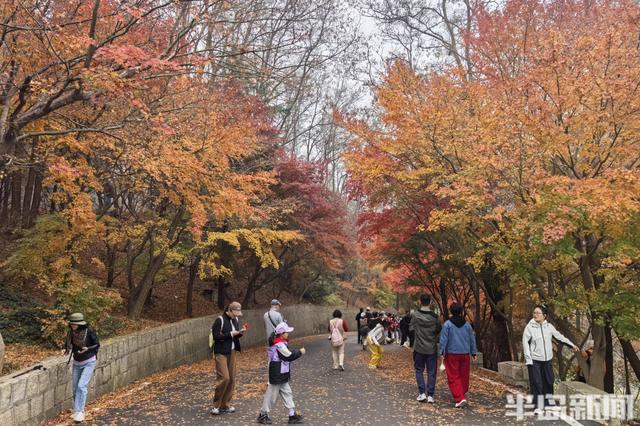 北九水网红路，周末打卡人气高！