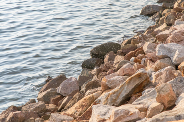 先锋在行动｜守护“一湾碧水” 让市民游玩体验更清新、更“出片”