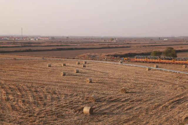 东营市区出发半小时直达，离你最近的“瑞士卷”竟然藏在稻田画！