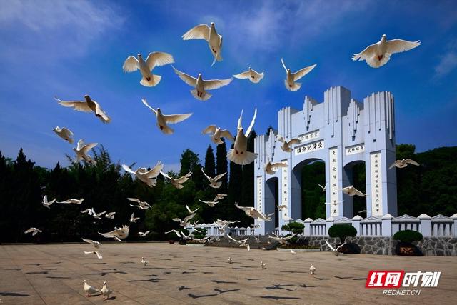 怀化：以“懂你如家”的人文温度，打造文旅新地标