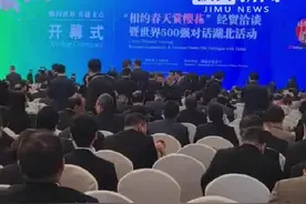 世界500强来了！刚刚，2025年“相约春天赏樱花”经贸洽谈活动启幕图片