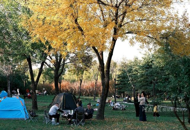 郑州迎来入秋最佳晴日 市民扎堆公园乐享“金色周末”
