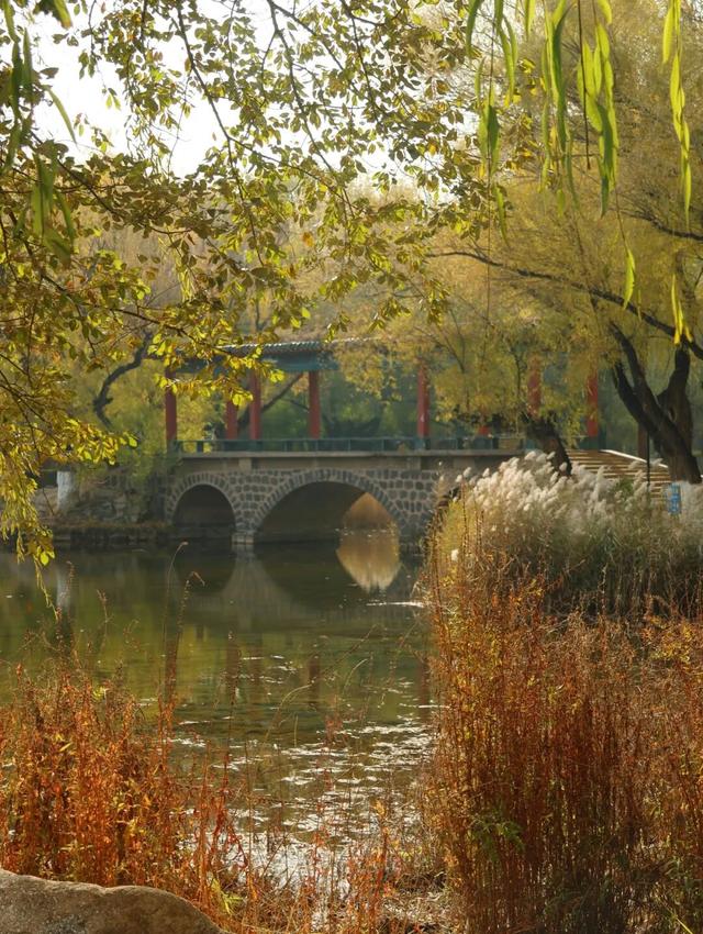 听，呼和浩特秋天的BGM正在你耳边播放