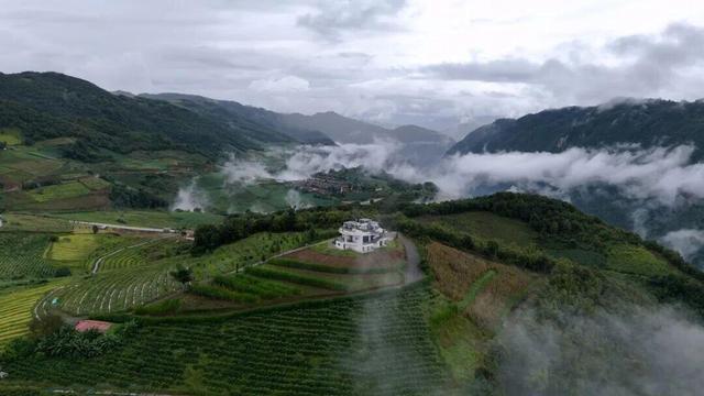 走进云南这些咖啡庄园，解锁专属味觉之旅
