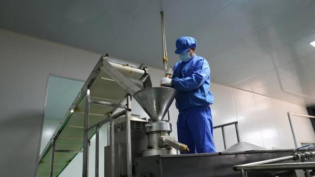 漾濞是“世界核桃起源地”！有五个维度可为证……