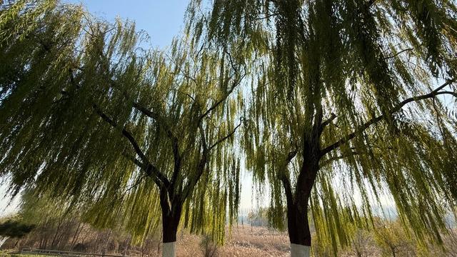 新视界｜莱芜西海公园：汶水西流处 万千气象新