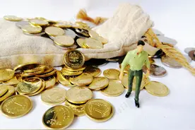 钵施然闯关上交所：股东同时入股但价格相差逾一倍 前次IPO终止后多位股东退出图片