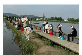 杭州人疯狂扎堆，有人驱车三小时，一站一坐就是半天！今年换玩法了……图片