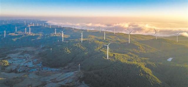 初冬的曲靖城红枫似火 黄叶如金