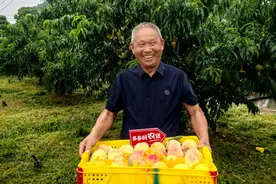 拼多多“百亿减免”助力商家提质增效图片