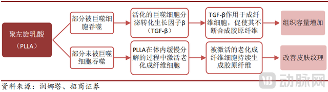 胶原蛋白多少钱一支 弗缦胶原蛋白多少钱一支