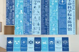 湖北科技学院：三维融合数智赋能，课程思政开启新篇章图片