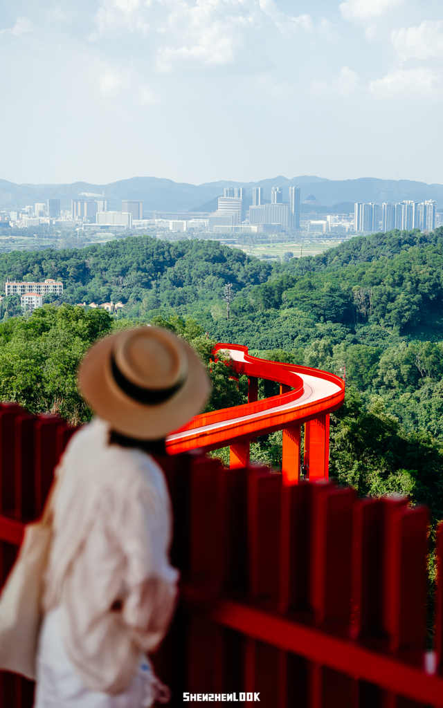 深圳环境五星的「网红公园」，不能再低调了