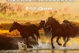 万马奔腾向未来——内蒙古弘扬蒙古马精神推动高质量发展图片