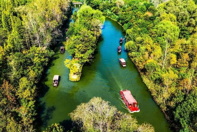 苏超夺冠满月，泰州登上央视天气预报