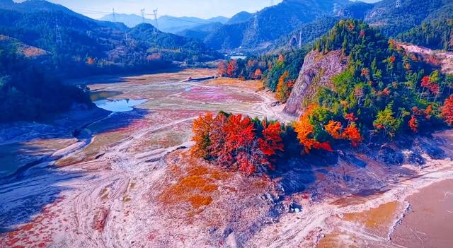 晚潮｜当蓼子花匍匐过滩涂，岁月便藏起了满地温柔