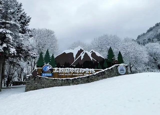 青睐绵阳 ‖ 彩林未尽,大雪已至!初冬的平武美成水墨画卷~