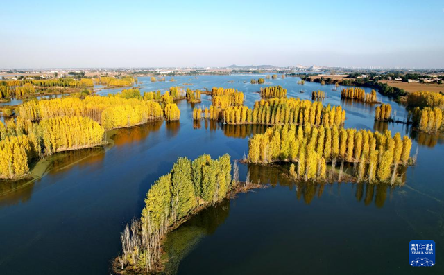 河北隆尧：初冬泜河风光秀美