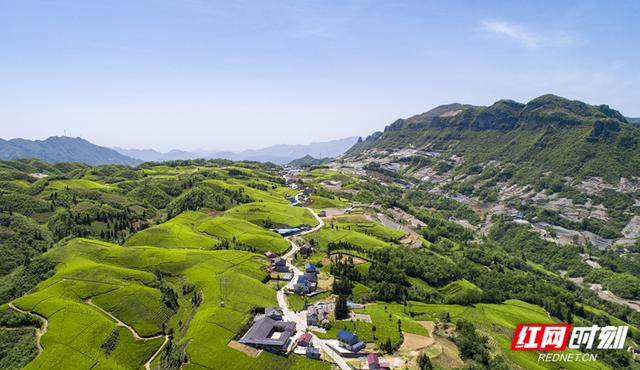 走进石门 清爽一夏②：在26°的清凉中找回夏日的惬意