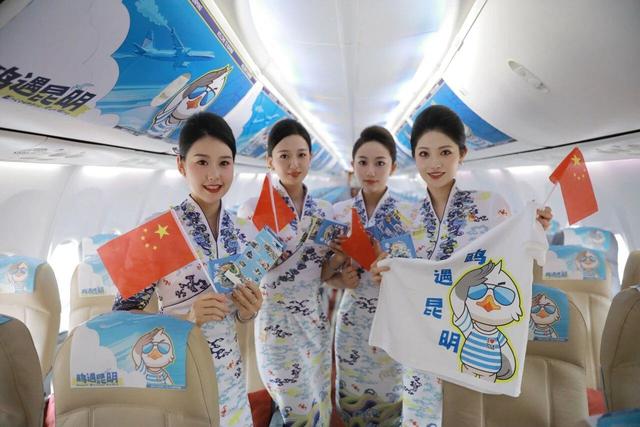 鸥气云南②丨暖心“鸥”遇！就在这场人鸥同乐的双向奔赴里……