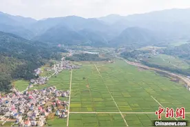“醉美”赣鄱风景独好：江西莲花县山乡花盛开 万亩良田迎春耕图片