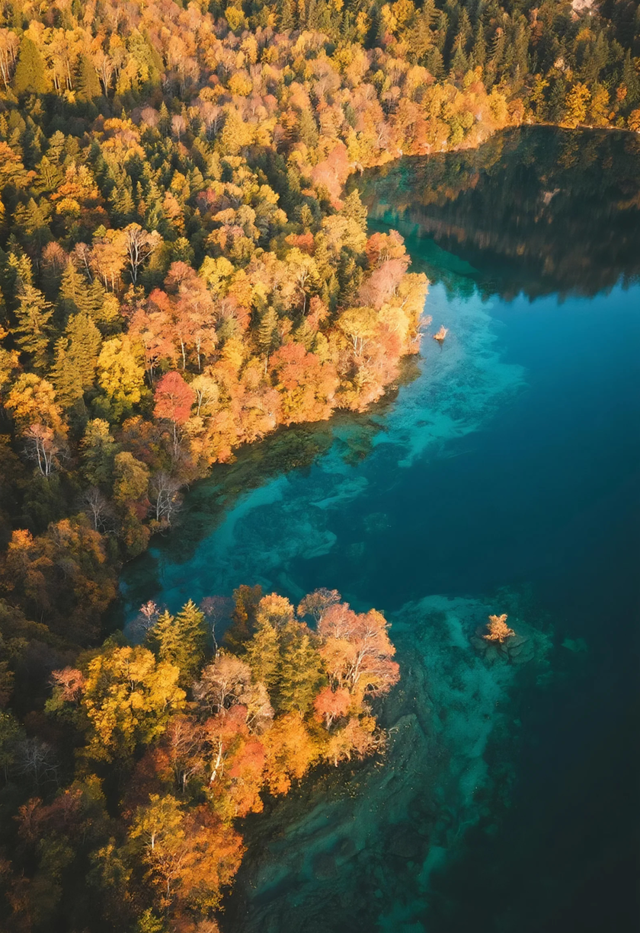 劝你别秋天去九寨沟，因为美得太“犯规”，会不想回来！