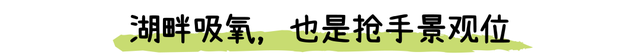 “深圳最能打的环湖小村,含绿量99%”