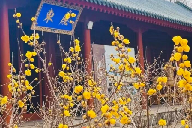 花开有时・四季有诗