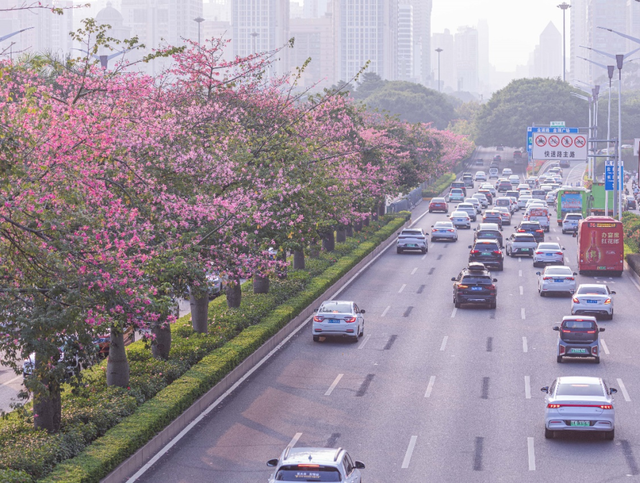 一抬头就沦陷！此刻，南宁正在疯狂涨“粉”