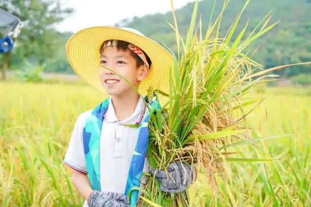 视觉增城｜“果”然有趣！快来正果邂逅甜蜜“丰”景