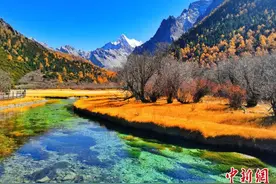 稻城亚丁景区贡嘎措至五色海、牛奶海暂停开放图片