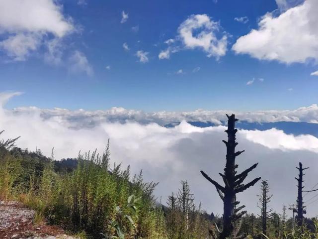 大理+滇西5县深度游！10条主题线覆盖非遗、古镇、美食、康养，这篇攻略直接抄作业