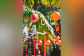 我的年过完了，「巳」时候收心了（我不想）图片