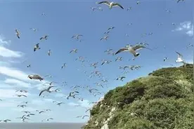 全省唯一！洞头这个岛的奇观到了最佳观赏季！图片