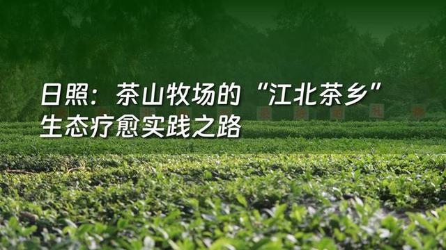 2025山东省文旅康养融合发展典型案例名单正式发布，8个案例入选
