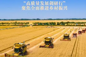 农业科技兴 乡村生活美——“高质量发展调研行”聚焦全面推进乡村振兴图片