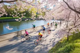 都市中女，一路狂蹬图片