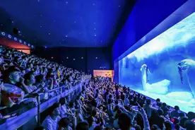 酒店满房，游客增长80%！郑州海昌海洋旅游度假区迎来暑期出游高峰图片