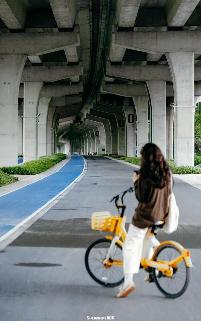 “看牛看海看夜景，深圳骑行路线精选”