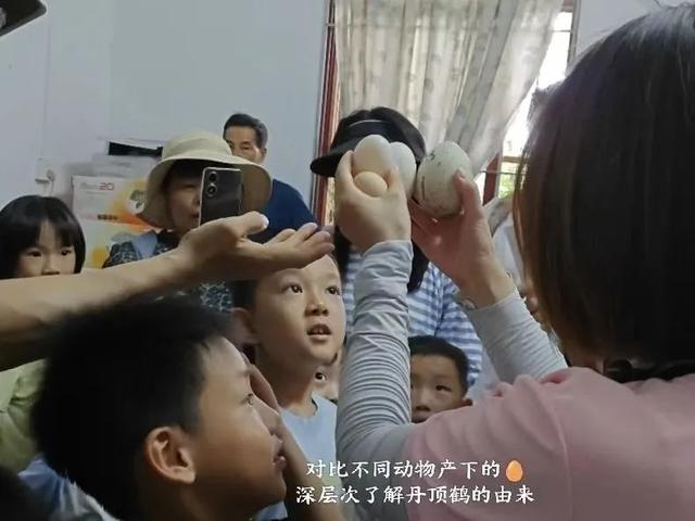 暑假遛娃新姿势！星湖暑期亲子研学盛宴：仙鹤、萌宠、虫趣全解锁～