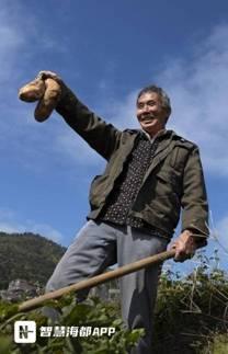 徒步登山、古厝晒秋、地域文化体验，这一活动在泉州虹山乡启动