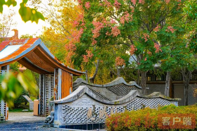 印象港区｜满目金黄，是秋写给冬的告白