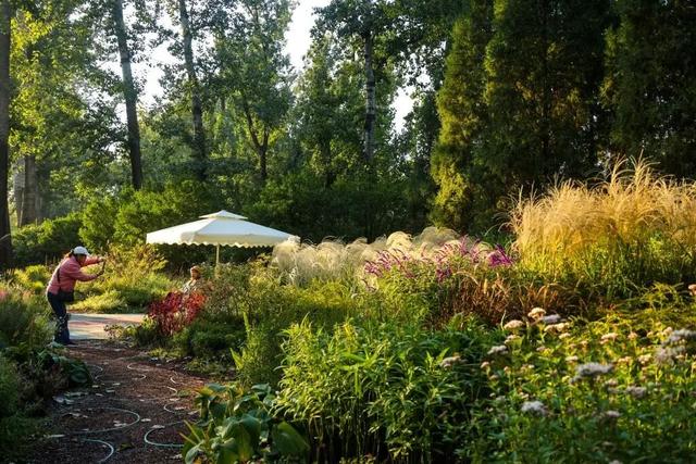 当立冬遇见金秋，北京动物园赏秋打卡攻略