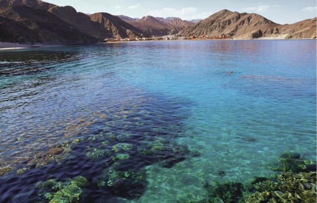 深化中埃旅游合作，埃及旅游局启动2026在华路演