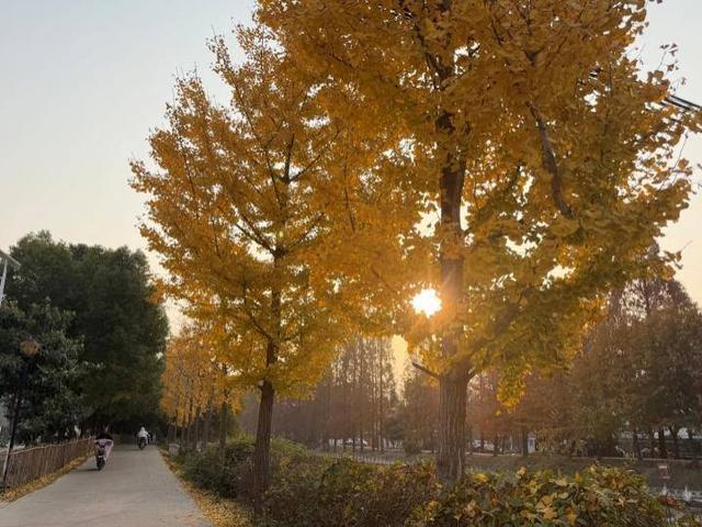 风光正好！来天门邂逅冬日暖阳