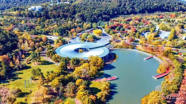 森林公园 色彩斑斓