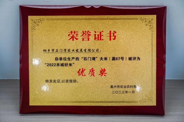 桐乡“大米书记”扎根田间诠释担当使命
